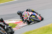 PJ-Motorsport-Photography-2020;anglesey;brands-hatch;cadwell-park;croft;donington-park;enduro-digital-images;event-digital-images;eventdigitalimages;mallory;no-limits;oulton-park;peter-wileman-photography;racing-digital-images;silverstone;snetterton;trackday-digital-images;trackday-photos;vmcc-banbury-run;welsh-2-day-enduro